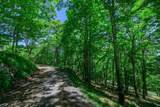 Lot 41 Turkey Crossing Lane - Photo 18