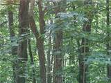 Lot 90 Thorncliff Drive - Photo 4