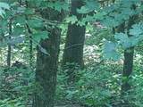 Lot 90 Thorncliff Drive - Photo 5