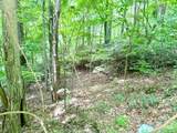 Lot 17 Savannah Drive - Photo 2