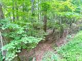 Lot 17 Savannah Drive - Photo 4