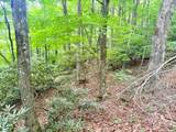Lot 17 Savannah Drive - Photo 8