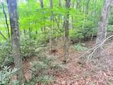 Lot 17 Savannah Drive - Photo 9