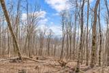 Lot 86 Elk Mountain Parkway - Photo 10