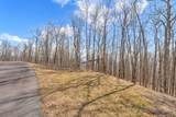 Lot 86 Elk Mountain Parkway - Photo 11