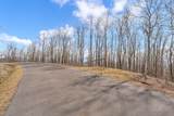 Lot 86 Elk Mountain Parkway - Photo 12