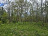 Lot 86 Elk Mountain Parkway - Photo 2