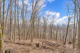 Lot 86 Elk Mountain Parkway - Photo 3