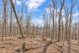 Lot 86 Elk Mountain Parkway - Photo 7