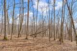 Lot 86 Elk Mountain Parkway - Photo 8