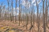 Lot 86 Elk Mountain Parkway - Photo 9