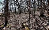 TBD Junaluska Road - Photo 16