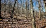 TBD Junaluska Road - Photo 2