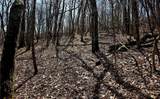 TBD Junaluska Road - Photo 5