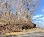 Lot 32 Jewel Weed Trail - Photo 1