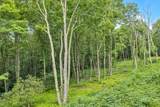 TBD Featherwood Trail - Photo 21
