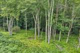 TBD Featherwood Trail - Photo 22