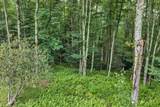 TBD Featherwood Trail - Photo 25
