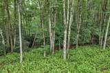 TBD Featherwood Trail - Photo 26