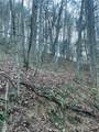 TBD Mountain Side Lane - Photo 2