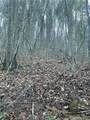 TBD Mountain Side Lane - Photo 4