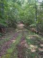 TBD Starlite Drive - Photo 12