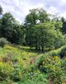 866 Georges Gap Road - Photo 25