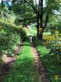866 Georges Gap Road - Photo 26