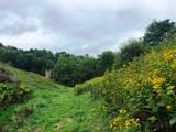 866 Georges Gap Road - Photo 29