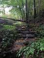 866 Georges Gap Road - Photo 30