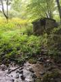 866 Georges Gap Road - Photo 31