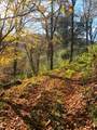 866 Georges Gap Road - Photo 36