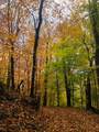 866 Georges Gap Road - Photo 38