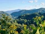 866 Georges Gap Road - Photo 4