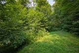 Lot 24 Linville River Drive - Photo 16