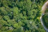 Lot 24 Linville River Drive - Photo 8
