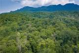 Lot 24 Linville River Drive - Photo 9