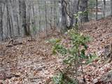 TBD Happy Woods Drive - Photo 11