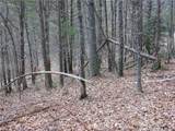 TBD Happy Woods Drive - Photo 12