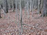TBD Happy Woods Drive - Photo 13