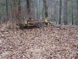 TBD Happy Woods Drive - Photo 3