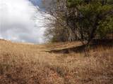 TBD Happy Woods Drive - Photo 5