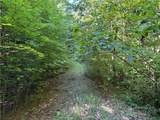 Lot 222 Casey Mountain Road - Photo 4