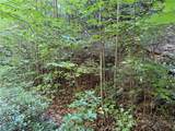 Lot 222 Casey Mountain Road - Photo 5