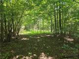 700 Nelson Lane - Photo 46