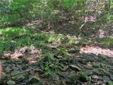 700 Nelson Lane - Photo 5