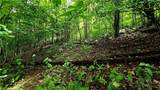 Lot 6 Boone Ridge Lane - Photo 10