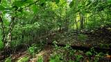 Lot 6 Boone Ridge Lane - Photo 11