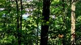 Lot 6 Boone Ridge Lane - Photo 13