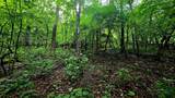 Lot 6 Boone Ridge Lane - Photo 3